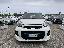 KIA Picanto 1.0 12V 5p. City