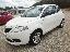 LANCIA Ypsilon 1.3 MJT 95 CV 5p. S&S Gold