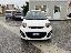 KIA Picanto 1.0 12V EcoGPL 5p. City