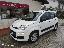 FIAT Panda 1.2 EasyPower Easy