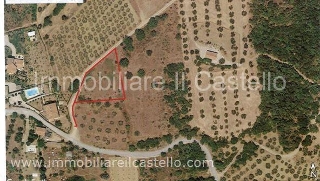 zoom immagine (Terreno 2000 mq, zona Casalini)