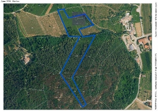 zoom immagine (Terreno 16996 mq, zona Galzignano Terme)