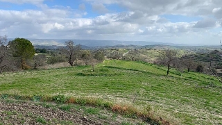 zoom immagine (Terreno 10241 mq, 2 camere, zona San Giacomo)