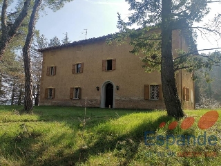 zoom immagine (Villa padronale storica terreno misto e laghetto in appennino bolognese)